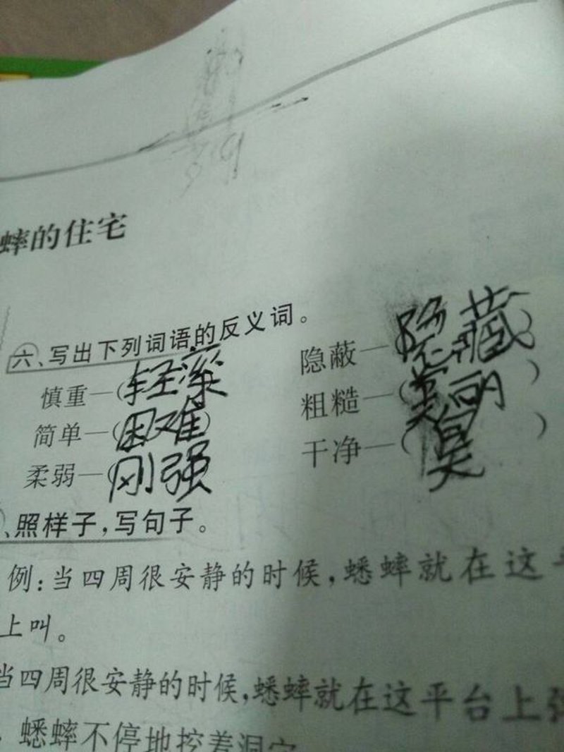 探索词语世界的奇妙之旅：反义词在线查询